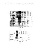 COVALENT TETHERING OF FUNCTIONAL GROUPS TO PROTEINS diagram and image