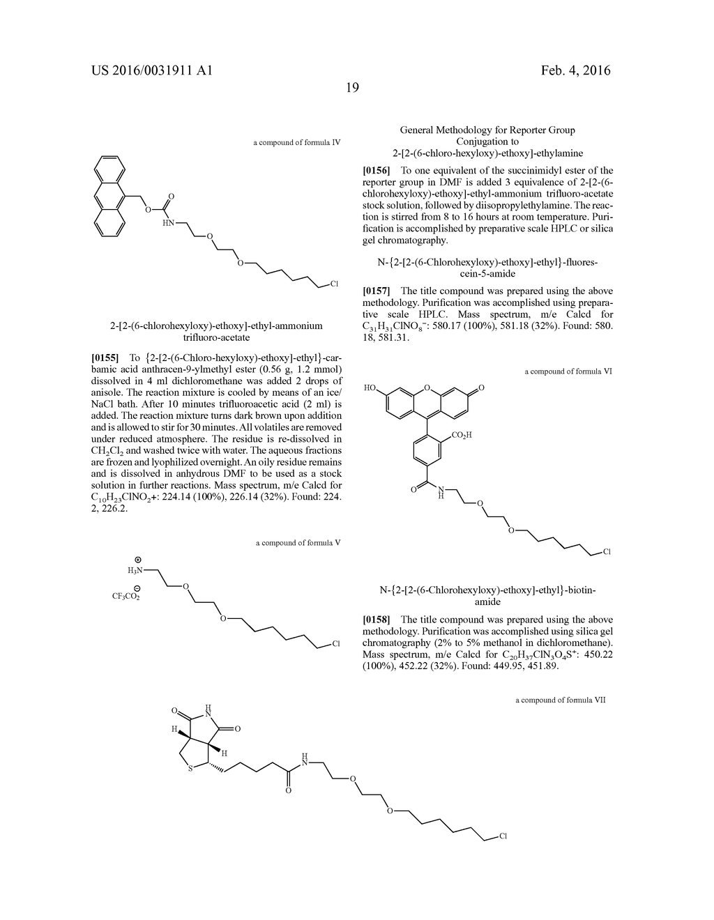 COVALENT TETHERING OF FUNCTIONAL GROUPS TO PROTEINS - diagram, schematic, and image 40