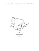 METHODS FOR PURIFYING STEVIOL GLYCOSIDES AND USES OF THE SAME diagram and image