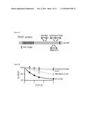 METHODS AND COMPOSITIONS USEFUL IN MANIPULATING THE STABILITY OF RE1     SILENCING TRANSCRIPTION FACTOR diagram and image