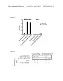 METHODS AND COMPOSITIONS USEFUL IN MANIPULATING THE STABILITY OF RE1     SILENCING TRANSCRIPTION FACTOR diagram and image