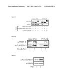 METHODS AND COMPOSITIONS USEFUL IN MANIPULATING THE STABILITY OF RE1     SILENCING TRANSCRIPTION FACTOR diagram and image