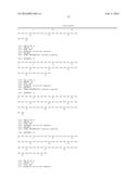 Targeted Therapeutic Lysosomal Enzyme Fusion Proteins and Uses Thereof diagram and image