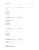 Targeted Therapeutic Lysosomal Enzyme Fusion Proteins and Uses Thereof diagram and image