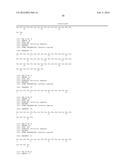 Targeted Therapeutic Lysosomal Enzyme Fusion Proteins and Uses Thereof diagram and image