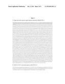 Targeted Therapeutic Lysosomal Enzyme Fusion Proteins and Uses Thereof diagram and image