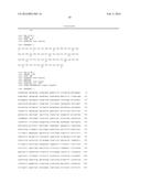 Targeted Therapeutic Lysosomal Enzyme Fusion Proteins and Uses Thereof diagram and image