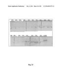 Compositions and Methods for Antibodies Targeting Complement Protein C5 diagram and image