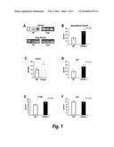 METHODS FOR TREATING OSTEOGENESIS IMPERFECTA diagram and image