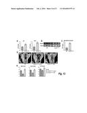 METHODS FOR TREATING OSTEOGENESIS IMPERFECTA diagram and image