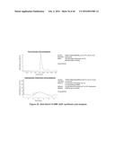 CHARGE-ENGINEERED ANTIBODIES OR COMPOSITIONS OF PENETRATION-ENHANCED     TARGETING PROTEINS AND METHODS OF USE diagram and image