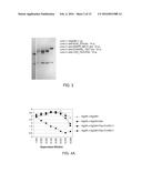 MULTIVARIABLE ANTIGENS COMPLEXED WITH TARGETING HUMANIZED MONOCLONAL     ANTIBODY diagram and image