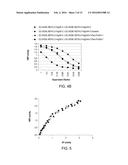 MULTIVARIABLE ANTIGENS COMPLEXED WITH TARGETING HUMANIZED MONOCLONAL     ANTIBODY diagram and image