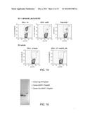 MULTIVARIABLE ANTIGENS COMPLEXED WITH TARGETING HUMANIZED MONOCLONAL     ANTIBODY diagram and image