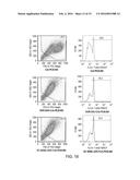 MULTIVARIABLE ANTIGENS COMPLEXED WITH TARGETING HUMANIZED MONOCLONAL     ANTIBODY diagram and image