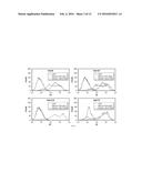 HER3 SPECIFIC MONOCLONAL ANTIBODIES FOR DIAGNOSTIC AND THERAPEUTIC USE diagram and image