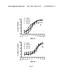 HER3 SPECIFIC MONOCLONAL ANTIBODIES FOR DIAGNOSTIC AND THERAPEUTIC USE diagram and image