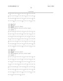 HER3 SPECIFIC MONOCLONAL ANTIBODIES FOR DIAGNOSTIC AND THERAPEUTIC USE diagram and image