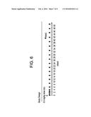 HUMAN ANTIGEN BINDING PROTEINS THAT BIND TO PROPROTEIN CONVERTASE     SUBTILISIN KEXIN TYPE 9 diagram and image