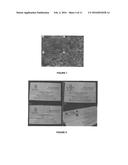 POLYELECTROLYTE POLYMERS, THEIR MANUFACTURE AND USE diagram and image