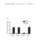 NOVEL PI POLYAMIDE diagram and image