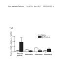 NOVEL PI POLYAMIDE diagram and image