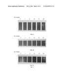 DURABLE ANTIMICROBIAL COATING COMPOSITION diagram and image