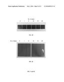 DURABLE ANTIMICROBIAL COATING COMPOSITION diagram and image