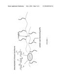 Amphiphilic Graft Copolymer for Waterborne Shape Memory Coatings diagram and image