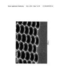 MULTIWELL PLATE diagram and image