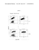 COMPOSITIONS AND METHODS FOR OBTAINING ENRICHED MESENCHYMAL STEM CELL     CULTURES diagram and image