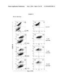 COMPOSITIONS AND METHODS FOR OBTAINING ENRICHED MESENCHYMAL STEM CELL     CULTURES diagram and image