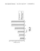 CHIMERIC PESTIVIRUS WITH INSERTION IN 3  NONTRANSLATED REGION (3  NTR)     WITH STABLE REPLICATION AND RNASE RESISTANCE diagram and image