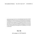 CHIMERIC PESTIVIRUS WITH INSERTION IN 3  NONTRANSLATED REGION (3  NTR)     WITH STABLE REPLICATION AND RNASE RESISTANCE diagram and image