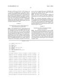 CHIMERIC PESTIVIRUS WITH INSERTION IN 3  NONTRANSLATED REGION (3  NTR)     WITH STABLE REPLICATION AND RNASE RESISTANCE diagram and image