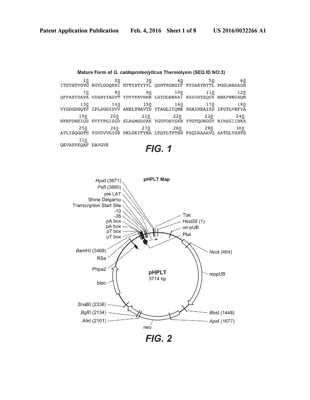 PRODUCTION OF THERMOLYSIN AND VARIANTS THEREOF AND USE IN LIQUID     DETERGENTS - diagram, schematic, and image 02