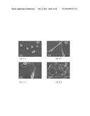 ENCAPSULATION OF BACTERIA AND VIRUSES IN ELECTROSPUN FIBERS diagram and image