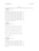 NOVEL GENE IbENOD93 AND TRANSGENIC PLANTS USING THE SAME diagram and image