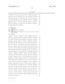 AGROBACTERIUM RHIZOGENES TRANSFORMATION AND EXPRESSION OF ROL GENES IN     KALANCHOE diagram and image