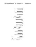 METHODS OF INCREASING RESISTANCE OF CROP PLANTS TO HEAT STRESS AND     SELECTING CROP PLANTS WITH INCREASED RESISTANCE TO HEAT STRESS diagram and image