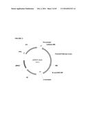 RECOMBINANT MICROORGANISMS FOR ENHANCED PRODUCTION OF MEVALONATE,     ISOPRENE, AND ISOPRENOIDS diagram and image