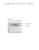 RECOMBINANT MICROORGANISMS FOR ENHANCED PRODUCTION OF MEVALONATE,     ISOPRENE, AND ISOPRENOIDS diagram and image