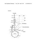 RECOMBINANT MICROORGANISMS FOR ENHANCED PRODUCTION OF MEVALONATE,     ISOPRENE, AND ISOPRENOIDS diagram and image