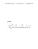 RECOMBINANT MICROORGANISMS FOR ENHANCED PRODUCTION OF MEVALONATE,     ISOPRENE, AND ISOPRENOIDS diagram and image