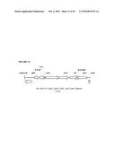 RECOMBINANT MICROORGANISMS FOR ENHANCED PRODUCTION OF MEVALONATE,     ISOPRENE, AND ISOPRENOIDS diagram and image