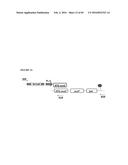 RECOMBINANT MICROORGANISMS FOR ENHANCED PRODUCTION OF MEVALONATE,     ISOPRENE, AND ISOPRENOIDS diagram and image