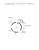 RECOMBINANT MICROORGANISMS FOR ENHANCED PRODUCTION OF MEVALONATE,     ISOPRENE, AND ISOPRENOIDS diagram and image