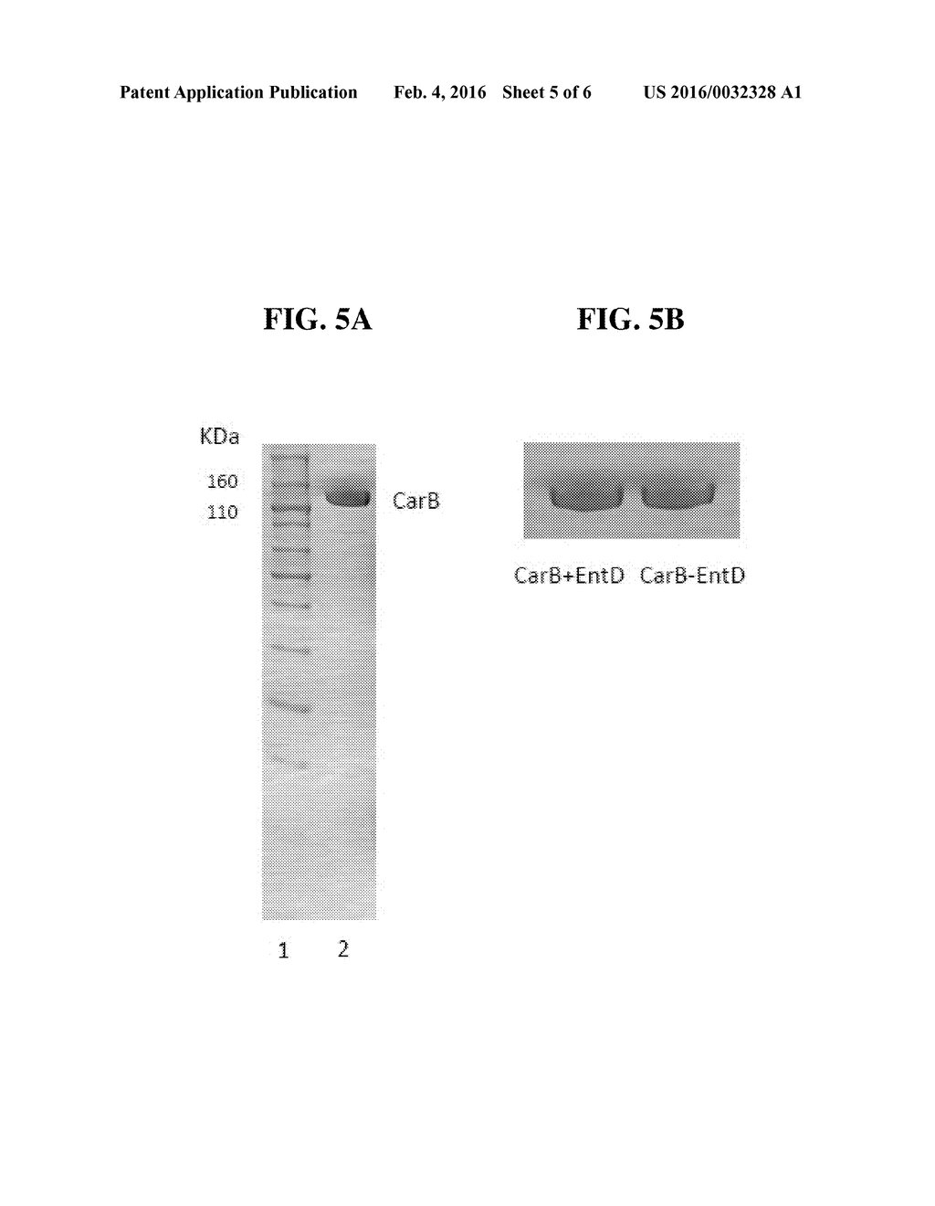 METHODS AND COMPOSITIONS FOR ENHANCED PRODUCTION OF FATTY ALDEHYDES AND     FATTY ALCOHOLS - diagram, schematic, and image 06