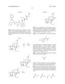 P-450-CATALYZED ENANTIOSELECTIVE CYCLOPROPANATION OF ELECTRON-DEFICIENT     OLEFINS diagram and image