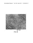 PROCESSING BIOMASS AND PETROLEUM CONTAINING MATERIALS diagram and image